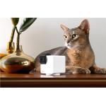 Camera smart Petcube Cam 360 pentru animale, 1080p, WiFi, Night Vision, Microfon, Alb 3 - lerato.ro