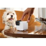 Camera smart Petcube Cam 360 pentru animale, 1080p, WiFi, Night Vision, Microfon, Alb 7 - lerato.ro