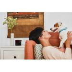 Camera smart Petcube Play 2 pentru animale, 1080p, WiFi, Night Vision, Microfon, Functie laser, Negru 7 - lerato.ro