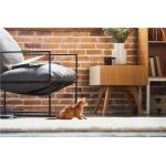 Camera smart Petcube Play 2 pentru animale, 1080p, WiFi, Night Vision, Microfon, Functie laser, Negru 5 - lerato.ro