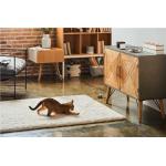 Camera smart Petcube Play 2 pentru animale, 1080p, WiFi, Night Vision, Microfon, Functie laser, Negru 3 - lerato.ro