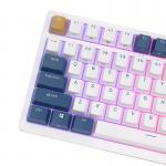 Tastatura mecanică Royal Kludge RK98 RGB, comutator roșu (albastru) 7 - lerato.ro