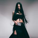 Carcasa Skinarma Ekho cu MagSafe compatibila cu iPhone 16 Pro, Transparent 7 - lerato.ro