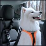 Lesa universala pentru animale de companie Spigen PS100, Centura de siguranta auto, Nylon, Lungime 97–137 cm, Negru 9 - lerato.ro