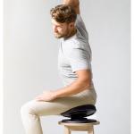 Disc de antrenament Swedish Posture, Antrenament pentru core, Greutate maxima 100 kg, Negru 3 - lerato.ro
