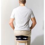 Disc de antrenament Swedish Posture, Antrenament pentru core, Greutate maxima 100 kg, Negru 5 - lerato.ro