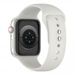 Curea silicon Tech-Protect Silicone compatibila cu Apple Watch 4/5/6/7/8/9/SE/Ultra1/2 42/44/45/49mm Stone 2 - lerato.ro