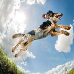 Husa de protectie TECH-PROTECT Naturalfit compatibila cu Apple AirTag 1/2 Maro 7 - lerato.ro