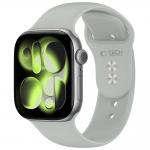 Curea Tech-Protect Silicone compatibila cu Apple Watch 8/9/10/11/12/SE/Ultra, 44/45/46/49mm, Gri 2 - lerato.ro