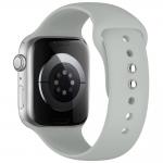 Curea Tech-Protect Silicone compatibila cu Apple Watch 8/9/10/11/12/SE/Ultra, 44/45/46/49mm, Gri 3 - lerato.ro