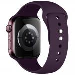 Curea Tech-Protect Silicone compatibila cu Apple Watch 8/9/10/11/12/SE/Ultra, 44/45/46/49mm, Burgundy 3 - lerato.ro