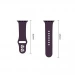 Curea Tech-Protect Silicone compatibila cu Apple Watch 8/9/10/11/12/SE/Ultra, 44/45/46/49mm, Burgundy 9 - lerato.ro