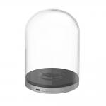 Statie de incarcare Telesin TE-MCB-002 in forma de dom pentru dronele Mavic Mini / Mini 2, Micro USB/USB-C, Transparent 2 - lerato.ro