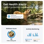 Dispozitiv monitorizare pentru caini Tractive GPS DOG 6, Autonomie 48h, Timp incarcare 2h, Istoric locatii, Live Tracking, Monitorizare activitate și somn, Maro 11 - lerato.ro