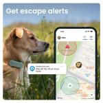 Dispozitiv monitorizare pentru caini Tractive GPS DOG 6, Autonomie 48h, Timp incarcare 2h, Istoric locatii, Live Tracking, Monitorizare activitate și somn, Mint 3 - lerato.ro
