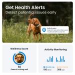 Dispozitiv monitorizare pentru caini Tractive GPS DOG 6, Autonomie 48h, Timp incarcare 2h, Istoric locatii, Live Tracking, Monitorizare activitate și somn, Mint 5 - lerato.ro