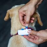 Set 3 cleme de prindere pentru localizatorul Tractive GPS DOG 4, Cleme XL din cauciuc, Compatibile cu zgarzi de pana la 3.4 cm latime, Albastru 4 - lerato.ro