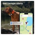 Dispozitiv monitorizare pentru caini Tractive GPS DOG 6 XL Adventure Edition, Autonomie 6 saptamani, Monitorizare ritm cardiac / frecventa respiratorie / calitate somn / nivel activitate, Live Tracking, Compatibil iOS / Android, Portocaliu 4 - lerato.ro