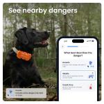 Dispozitiv monitorizare pentru caini Tractive GPS DOG 6 XL Adventure Edition, Autonomie 6 saptamani, Monitorizare ritm cardiac / frecventa respiratorie / calitate somn / nivel activitate, Live Tracking, Compatibil iOS / Android, Portocaliu 5 - lerato.ro