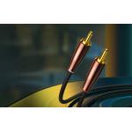 Cablu audio UGREEN AV170, tata jack 3.5 mm la 2x tata RCA, 1m, Negru 5 - lerato.ro
