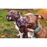 Botnita WAUDOG NASA pentru caini, Marime M, Ajustabila 19-26cm, Negru 4 - lerato.ro
