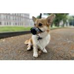Botnita WAUDOG Donuts pentru caini, Marime S, Ajustabila 14-20cm, Negru 3 - lerato.ro