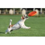 Disc frisbee pentru caini WAUDOG PitchDog, 24 cm, Portocaliu 3 - lerato.ro