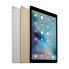 iPad Pro (290)