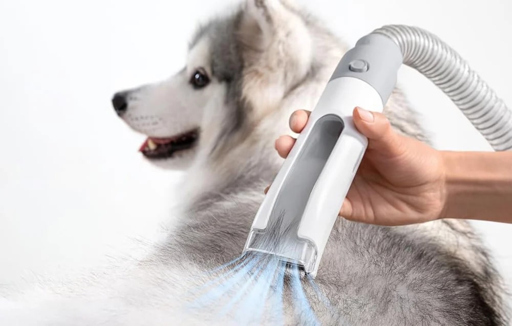 Aparat multifunctional pentru ingrijirea parului animalelor de companie HomeRunPet HC15, 12000Pa, 400W, Capacitate 1.85L, Alb 1 Lerato.ro