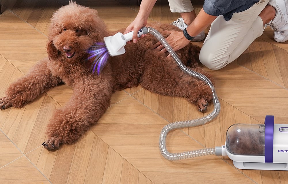 Aparat multifunctional pentru ingrijirea parului animalelor de companie Oneisall LM5, 300W, Capacitate 1.5L, Lungime furtun 1.5m, Alb 1 Lerato.ro