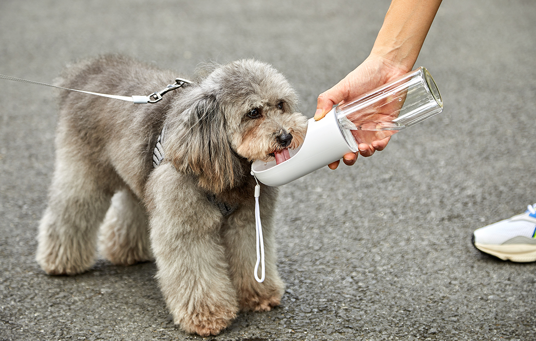 Sticla de apa portabila PetKit Eversweet Travel pentru animale, 400ml, Alb 1 Lerato.ro