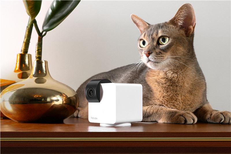 Camera smart Petcube Cam 360 pentru animale, 1080p, WiFi, Night Vision, Microfon, Alb 1 Lerato.ro