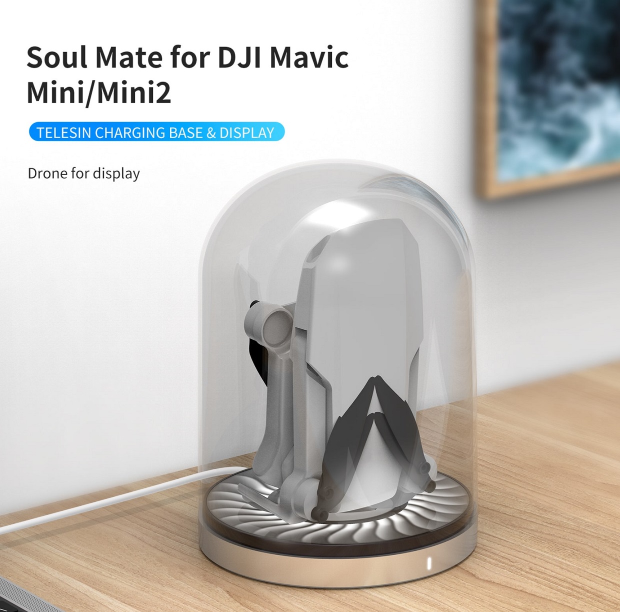 Statie de incarcare Telesin TE-MCB-002 in forma de dom pentru dronele Mavic Mini / Mini 2, Micro USB/USB-C, Transparent 1 Lerato.ro